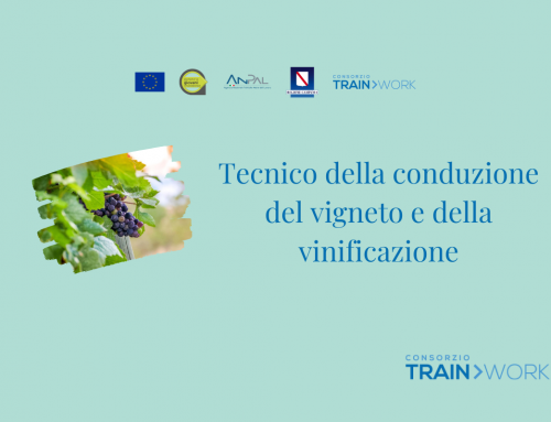 Tecnico della conduzione del vigneto e della vinificazione – Garanzia Giovani